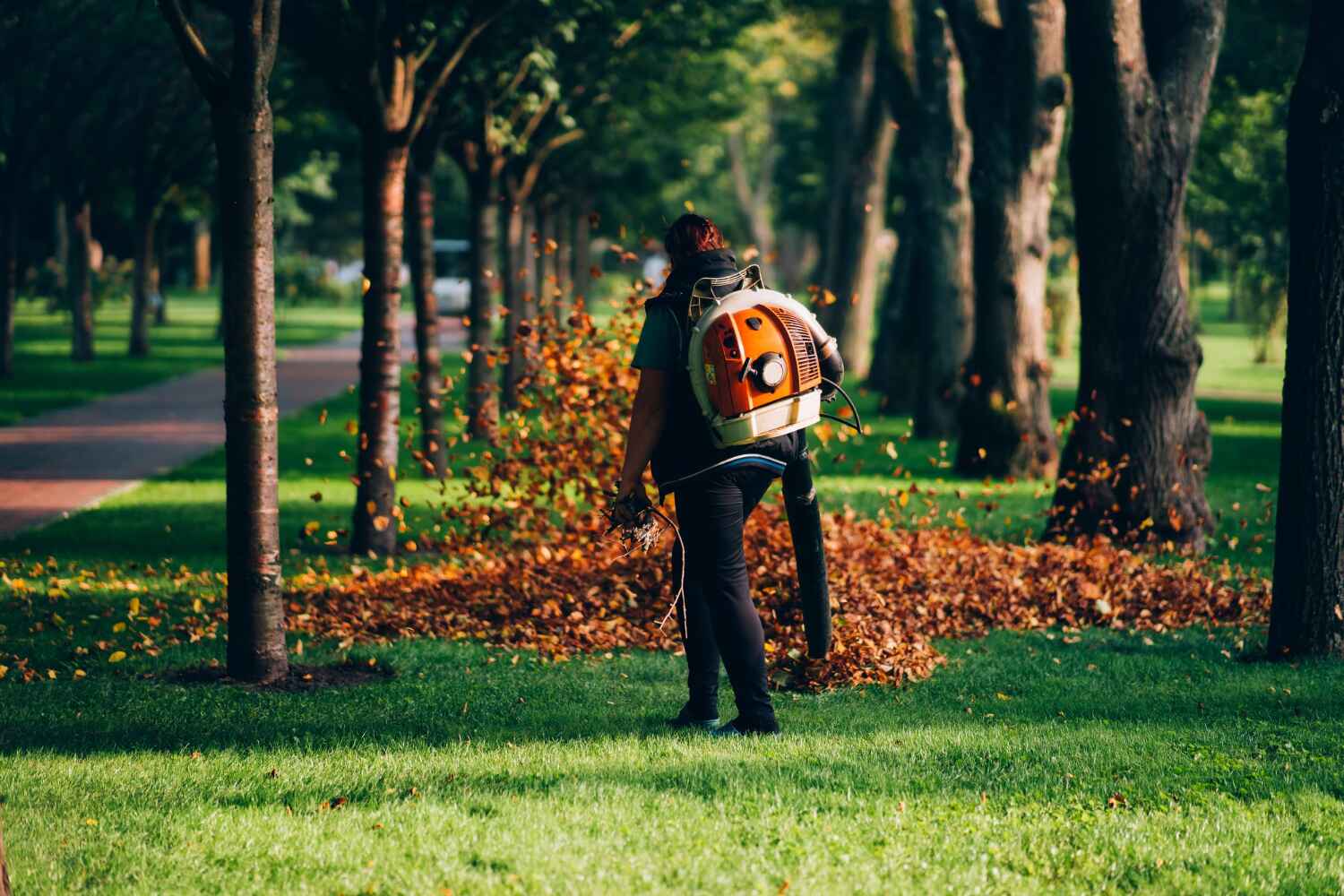 Best Arborist Services Near Me  in Shippensburg University, PA